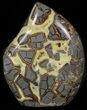 Polished Utah Septarian Sculpture - Amazing Crystal Pockets #62983-1